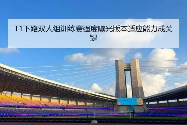 T1下路双人组训练赛强度曝光版本适应能力成关键